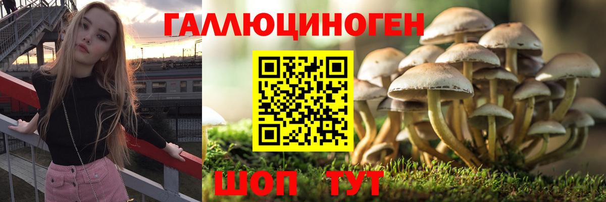 Галлюциногенные грибы Cubensis  Псилоцибиновые грибы Psilocybe  Обнинск  Вход с VPN 